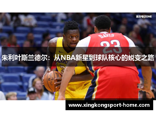 朱利叶斯兰德尔：从NBA新星到球队核心的蜕变之路
