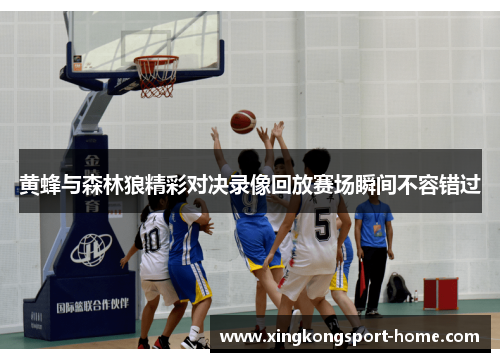 黄蜂与森林狼精彩对决录像回放赛场瞬间不容错过